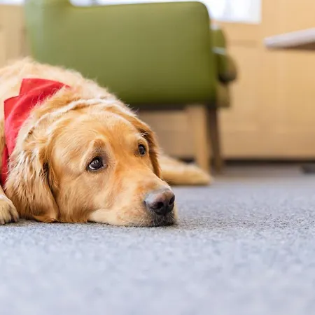 Jufa - Klangholzhus Hotel 3*