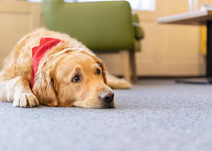 Jufa - Klangholzhus Hotel 3*